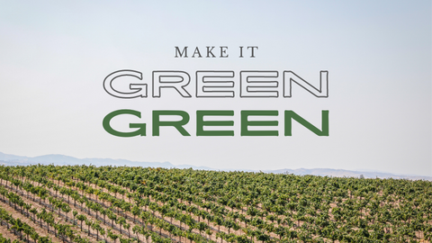 produttori triple a - la cantina dettori