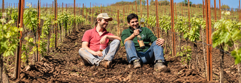 WEINGUT SORENTBERG