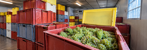 CHAMPAGNE CHARBONNIER PÈRE ET FILS
