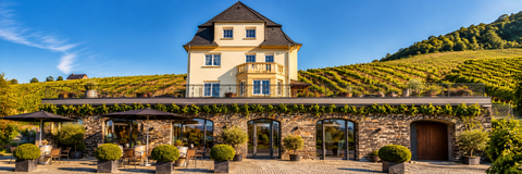 WEINGUT THANISCH