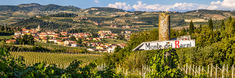 MONTE DEI RAGNI