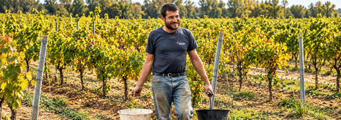 LIONEL BOUTIÉ DOMAINE RICARDELLE DE LAUTREC