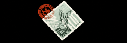 400 CONIGLI