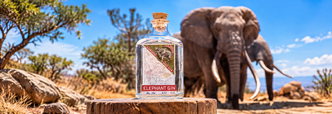 ELEPHANT GIN