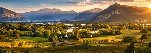 FRANCIACORTA