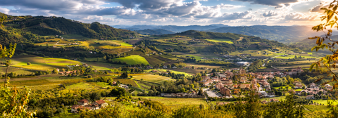 ALTA LANGA
