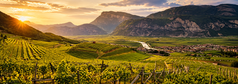 BOLLE DEL TRENTINO