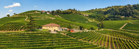 COSTA DI BUSSIA - TENUTA ARNULFO