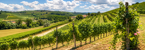 CASCINA EBREO