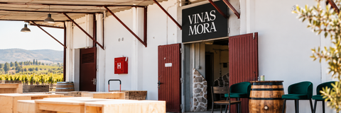 VINAS MORA