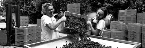 SPIRITO AGRICOLO BALLARIN