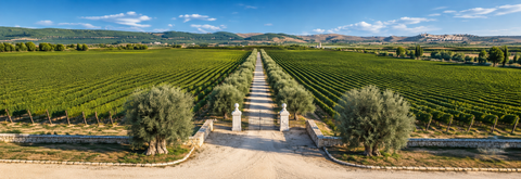 TORMARESCA - ANTINORI