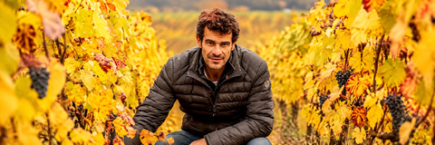 CHAMPAGNE NICOLAS MAILLART