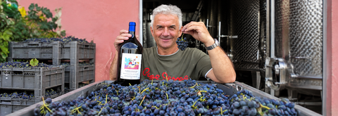 ROBERTO VOERZIO