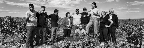 MICROBIO WINES