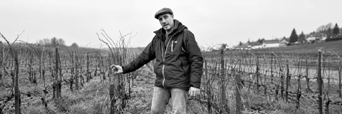 CHAMPAGNE A. LAMBLOT