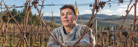 CHAMPAGNE MARIE-COURTIN