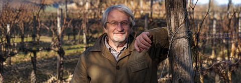 TAPPERO MERLO