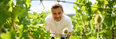 WEINGUT ANDI WEINGAND