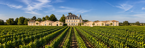 CHÂTEAU LE PUY