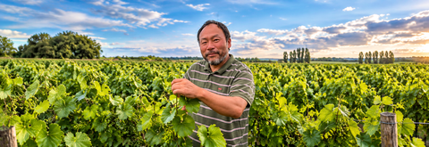 DOMAINE KOJI ET JAE HWA