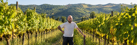 MARCO TINESSA - OGNOSTRO