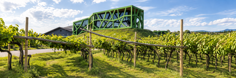 TRAMIN