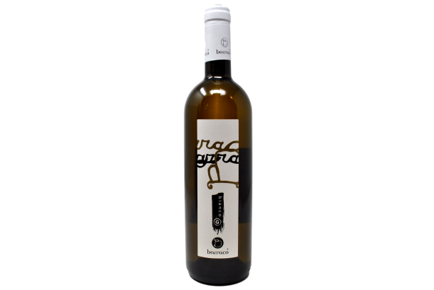 TERRE SICILIANE GRILLO IGT BIOLOGICO "BIANCO G" 2022 - NINO BARRACO