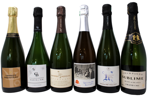 CHAMPAGNE TASTING BOX - 5 BOTTIGLIE + LE MESNIL SUBLIME BLANC DE BLANCS IN REGALO