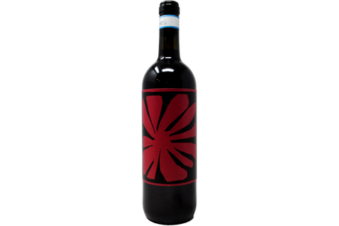 LANGHE NEBBIOLO DOC BIO 2024 - CASCINA ELENA