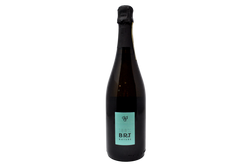 VALDOBBIADENE PROSECCO SUPERIORE DOCG BRUT NATURE "100% BRT NATURE" 2023 - DUCA DI DOLLE