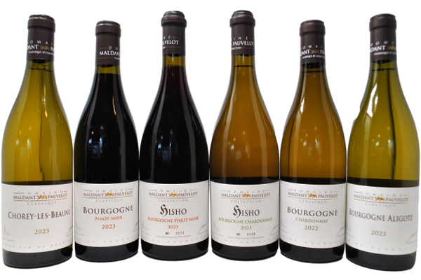 MALDANT PAUVELOT TASTING BOX - 6 BOTTIGLIE + PATAILLE IN OMAGGIO