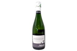 CHAMPAGNE BLANC DE NOIRS DOSAGE ZÉRO "LES VIGNES DE MON VILLAGE" - MOUSSÉ