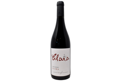 PIEMONTE VINO ROSSO "CLARA" 2020 - DECIMO FILARE