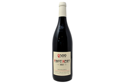 VIGNETI DELLE DOLOMITI IGT PINOT NOIR "Q500" 2023 - BALDESSARI