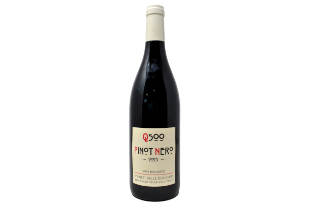 VIGNETI DELLE DOLOMITI IGT PINOT NOIR "Q500" 2023 - BALDESSARI