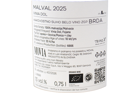 MALVASIA ISTRIANA BRDA TURNO MALVAL "VIGNA DOL" 2025 - MOVIA