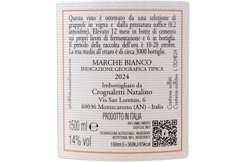 MARCHE BIANCO IGT "LE OCHE" 2024 MAGNUM - FATTORIA SAN LORENZO