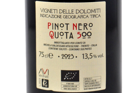 VIGNOBLES DES DOLOMITES IGT "BLAUBURGUNDER" 2019 - WEINGUT ABRAHAM
