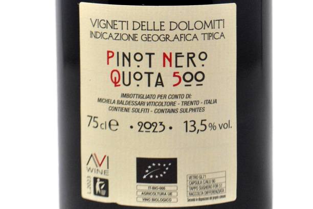 VIGNETI DELLE DOLOMITI IGT PINOT NOIR "Q500" 2023 - BALDESSARI