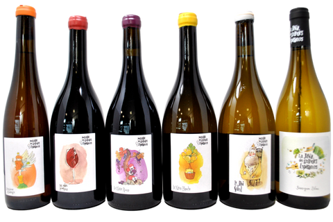 DOMAINE DES GRANDES ESPERANCES - TASTING BOX 6 BOTTGLIE