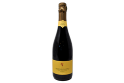 ALTA LANGA DOCG EXTRA BRUT "RISERVA COPPO" 2019 - COPPO