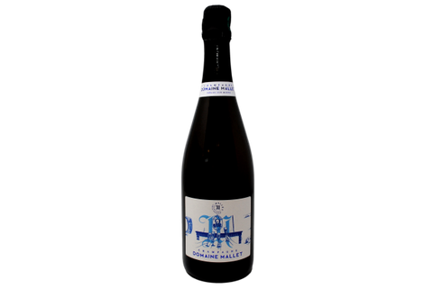 CHAMPAGNE PARCELLAIRE BRUT NATURE 100% MEUNIER "TERRE D'AVIZE" 2019 - DOMAINE MALLET