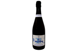 CHAMPAGNE PARCELLAIRE BRUT NATURE 100% MEUNIER "TERRE D'AVIZE" 2019 - DOMAINE MALLET