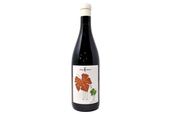 CÔTEAUX BOURGUIGNON APPELLATION CONTROLÉE "L'AMBROISE" 2023 - JÉRÉMY RECCHIONE