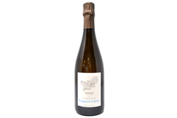 CHAMPAGNE ASSEMBLAGE BRUT NATURE BIO "PUZZLE DE LA CÔTE DES BAR" 2021 - RUPPERT-LEROY