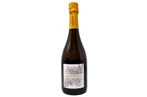 CHAMPAGNE EXTRA BRUT BLANC DE BLANCS "ELOQUENCE" 2019 - CHAMPAGNE MARIE-COURTIN