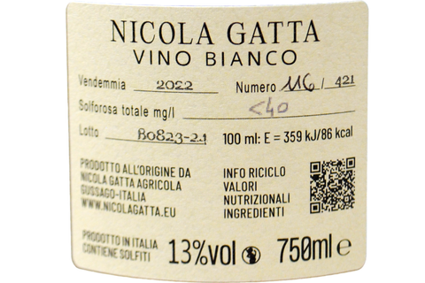 VINO BIANCO "FEBO" 2022 - NICOLA GATTA