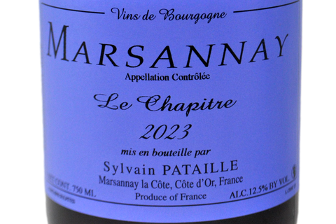 MARSANNAY ROUGE "LE CHAPITRE" 2023 - SYLVAIN PATAILLE
