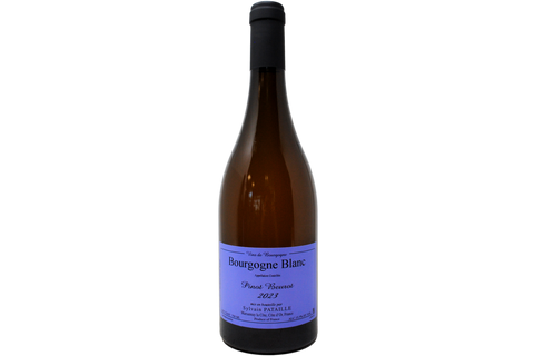 BOURGOGNE BLANC PINOT BEUROT 2023 - SYLVAIN PATAILLE